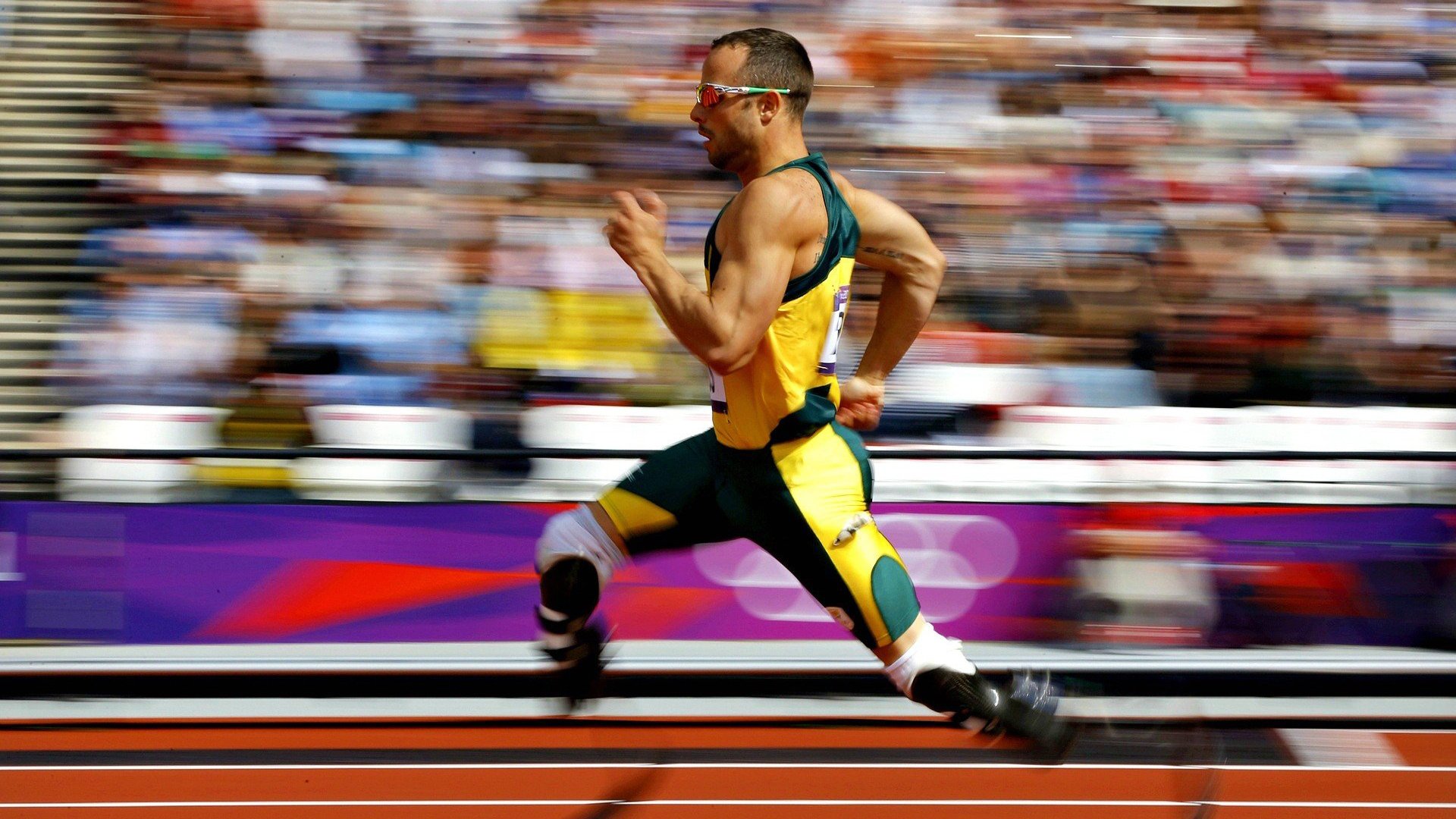 身体素质对篮球技术的补充作用，身体素质对篮球技术的补充作用是什么